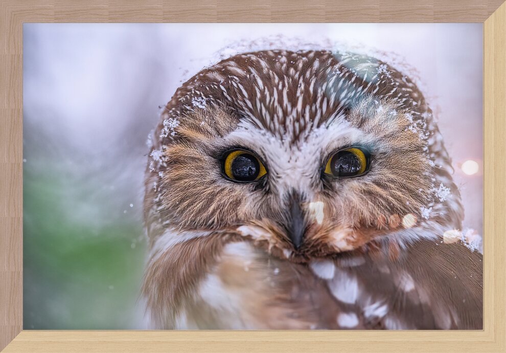 Impression de cadre personnalisé