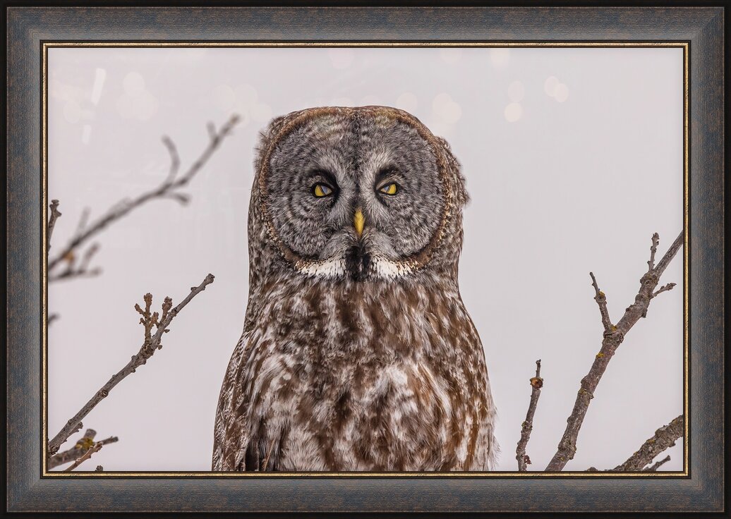 Impression de cadre personnalisé