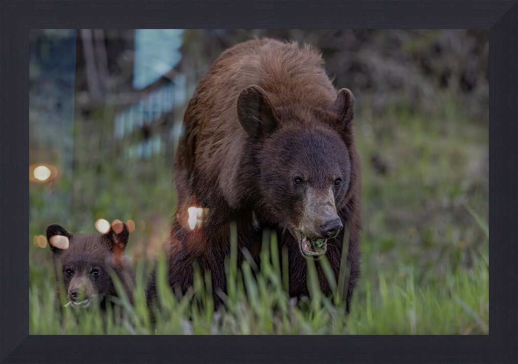 Impression de cadre personnalisé
