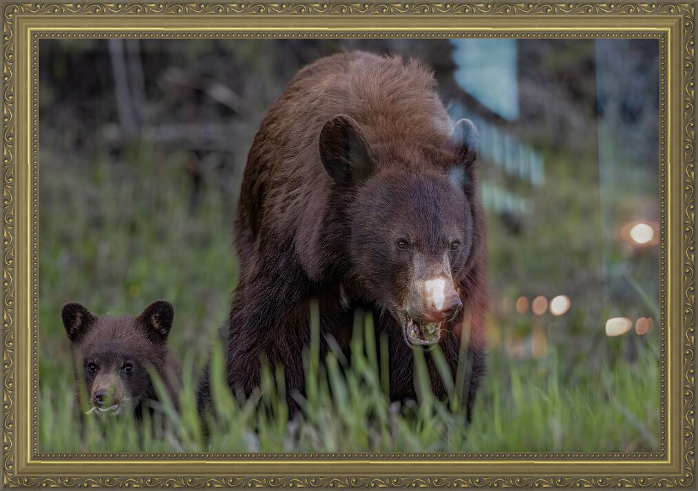 Impression de cadre personnalisé