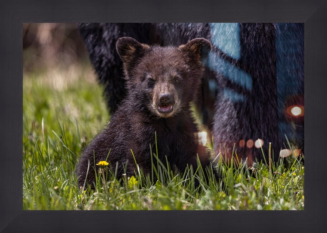 Impression de cadre personnalisé