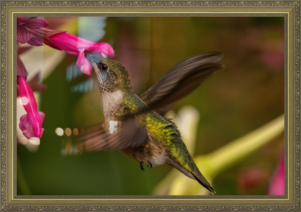 Impression de cadre personnalisé