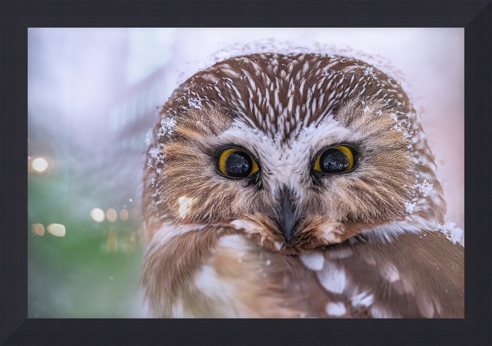 Impression de cadre personnalisé