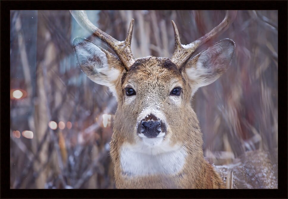 Impression de cadre personnalisé