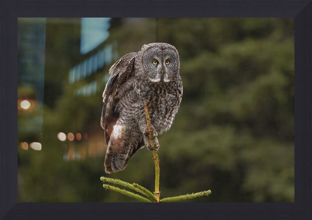 Impression de cadre personnalisé
