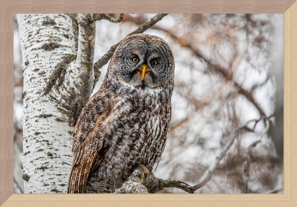 Impression de cadre personnalisé