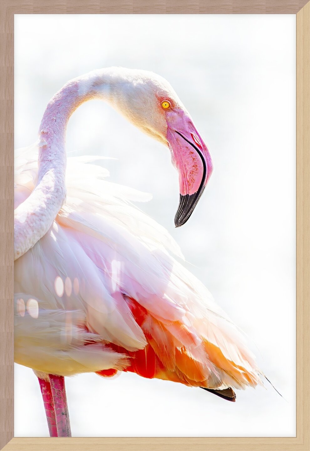 Impression de cadre personnalisé