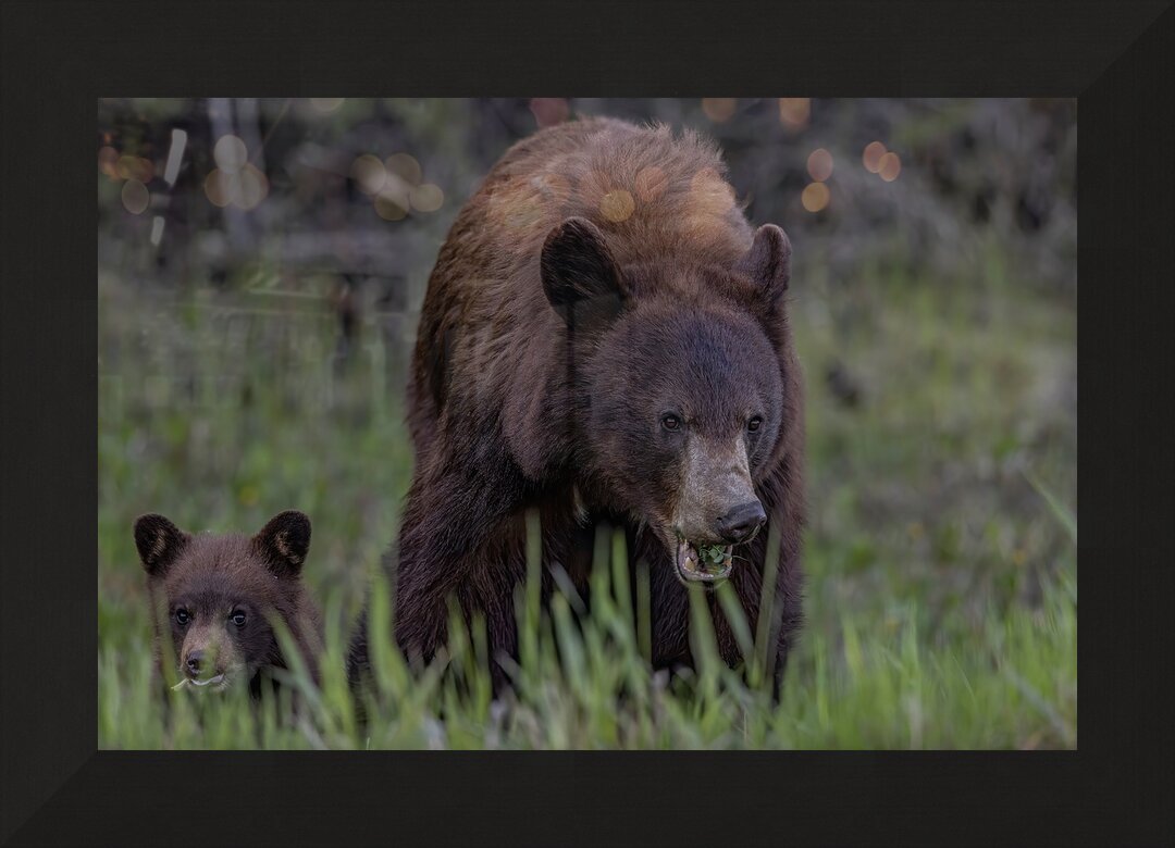 Impression de cadre personnalisé