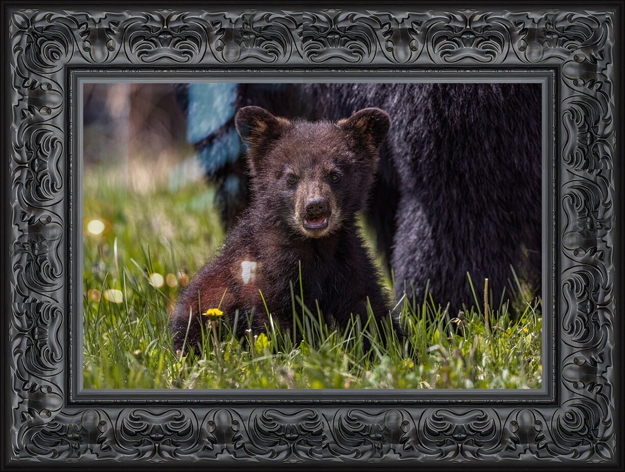 Impression de cadre personnalisé