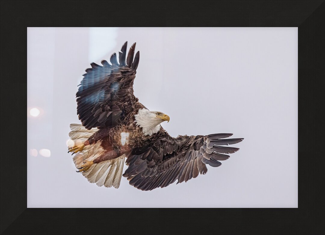 Impression de cadre personnalisé