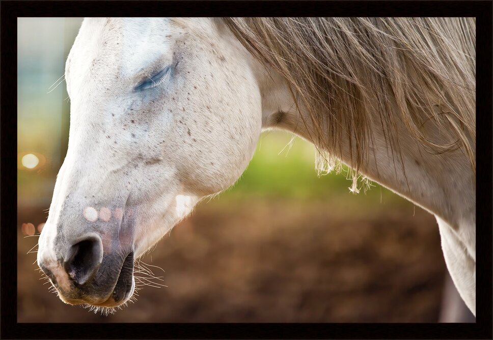 Impression de cadre personnalisé