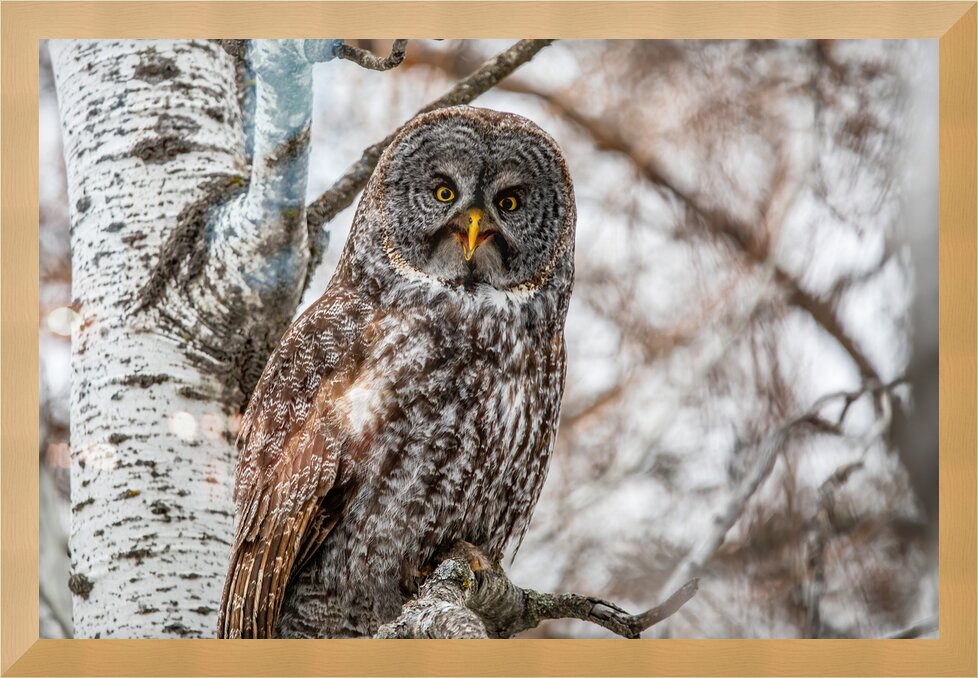 Impression de cadre personnalisé