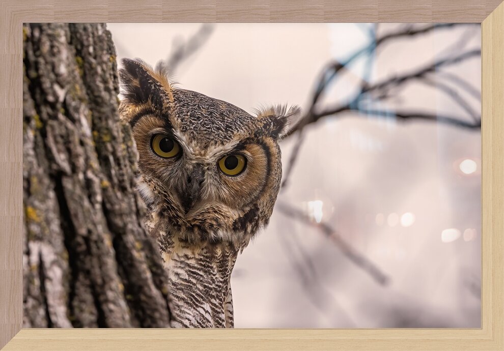 Impression de cadre personnalisé