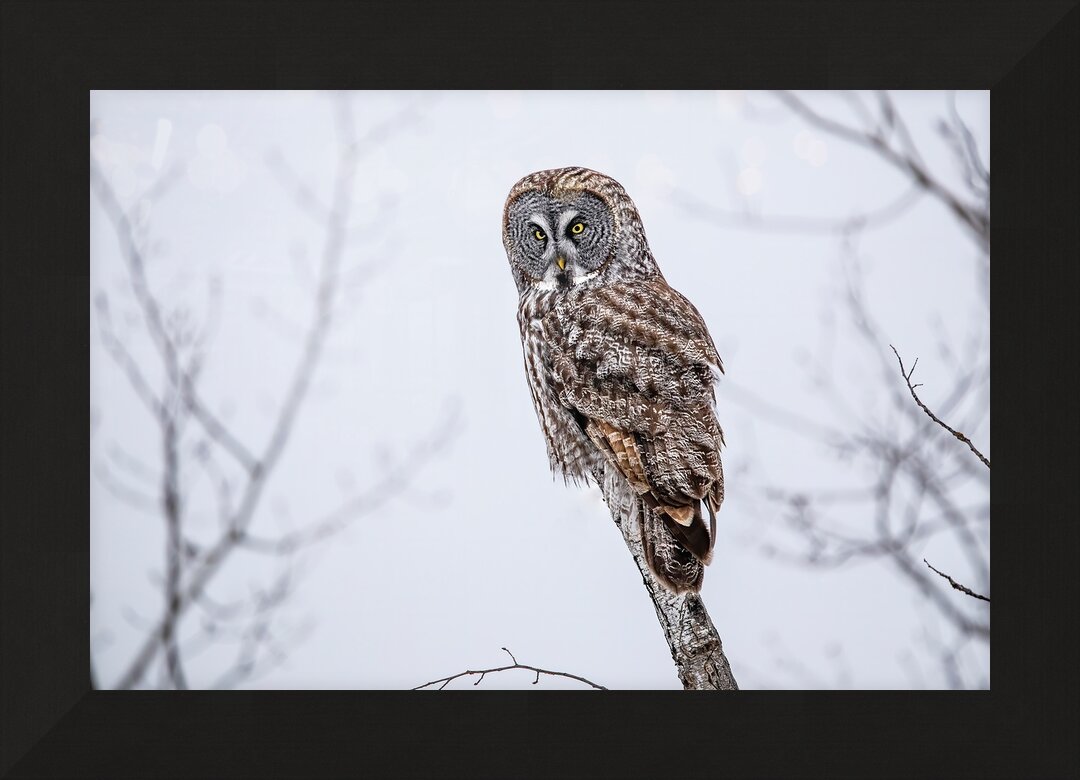 Impression de cadre personnalisé