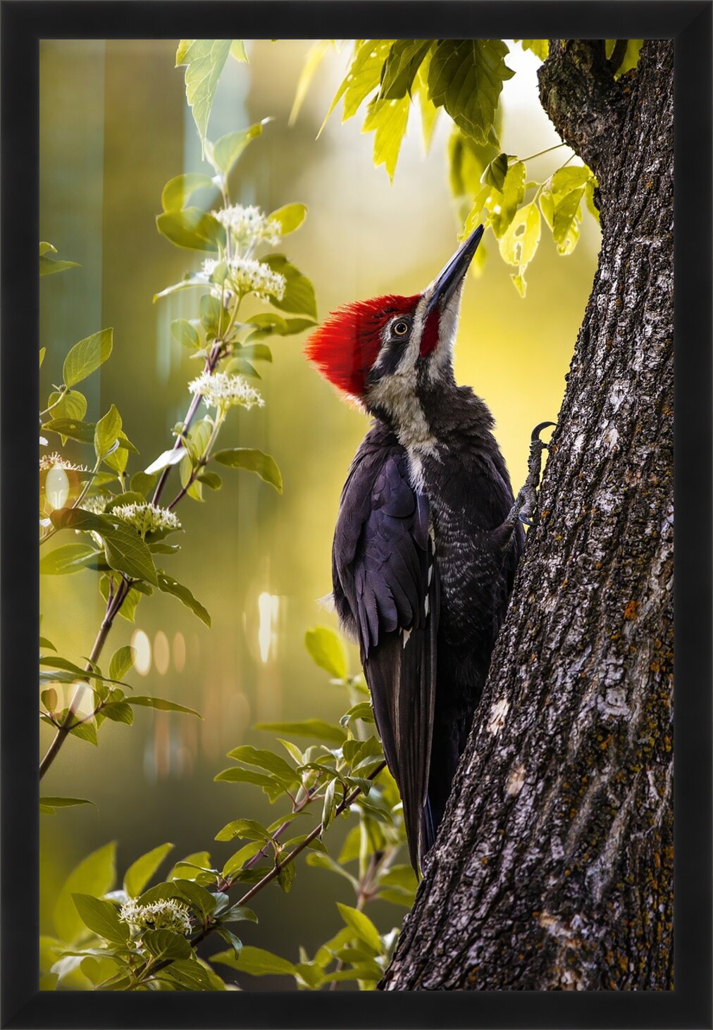 Impression de cadre personnalisé