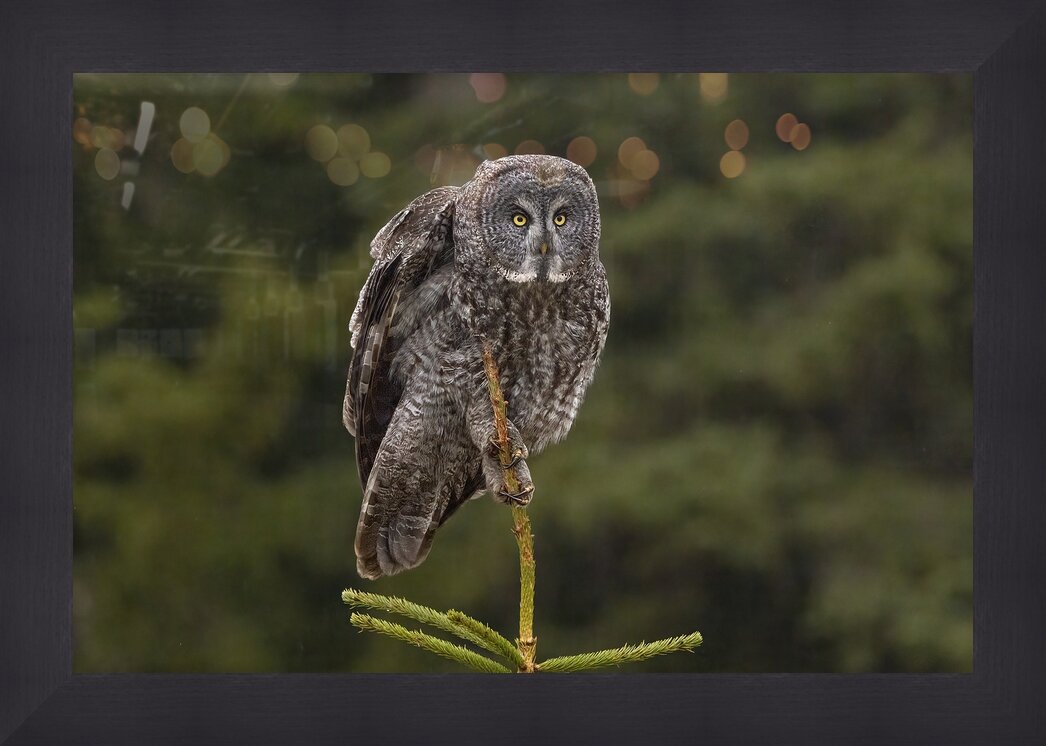 Impression de cadre personnalisé