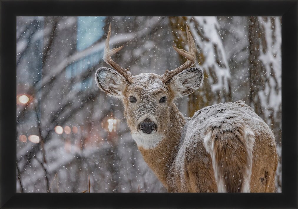 Impression de cadre personnalisé