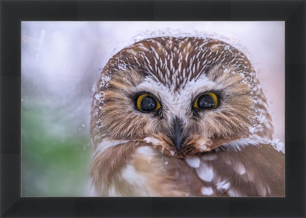 Impression de cadre personnalisé