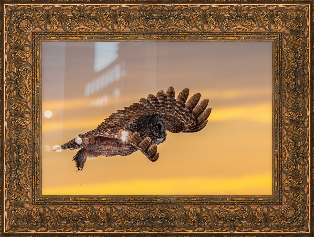 Impression de cadre personnalisé