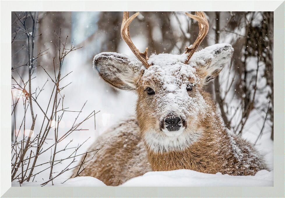 Impression de cadre personnalisé