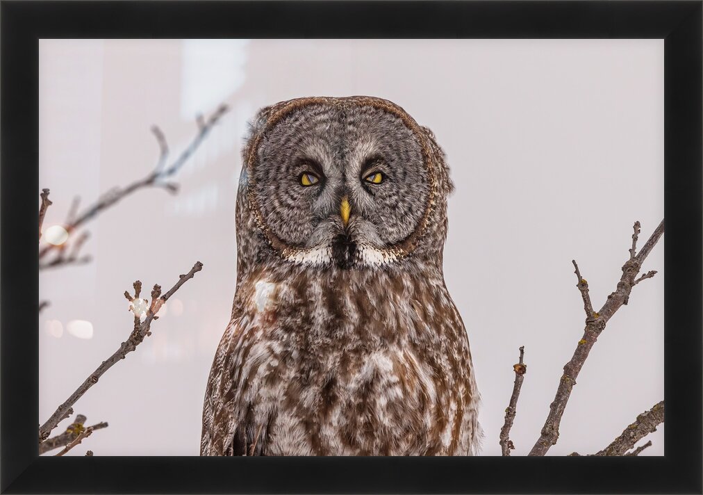 Impression de cadre personnalisé