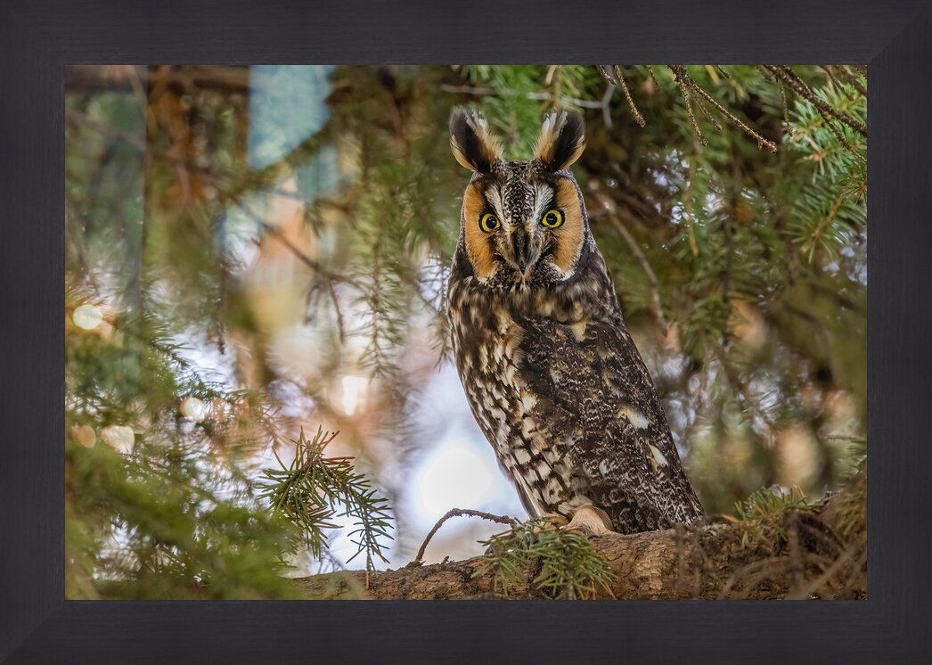 Impression de cadre personnalisé