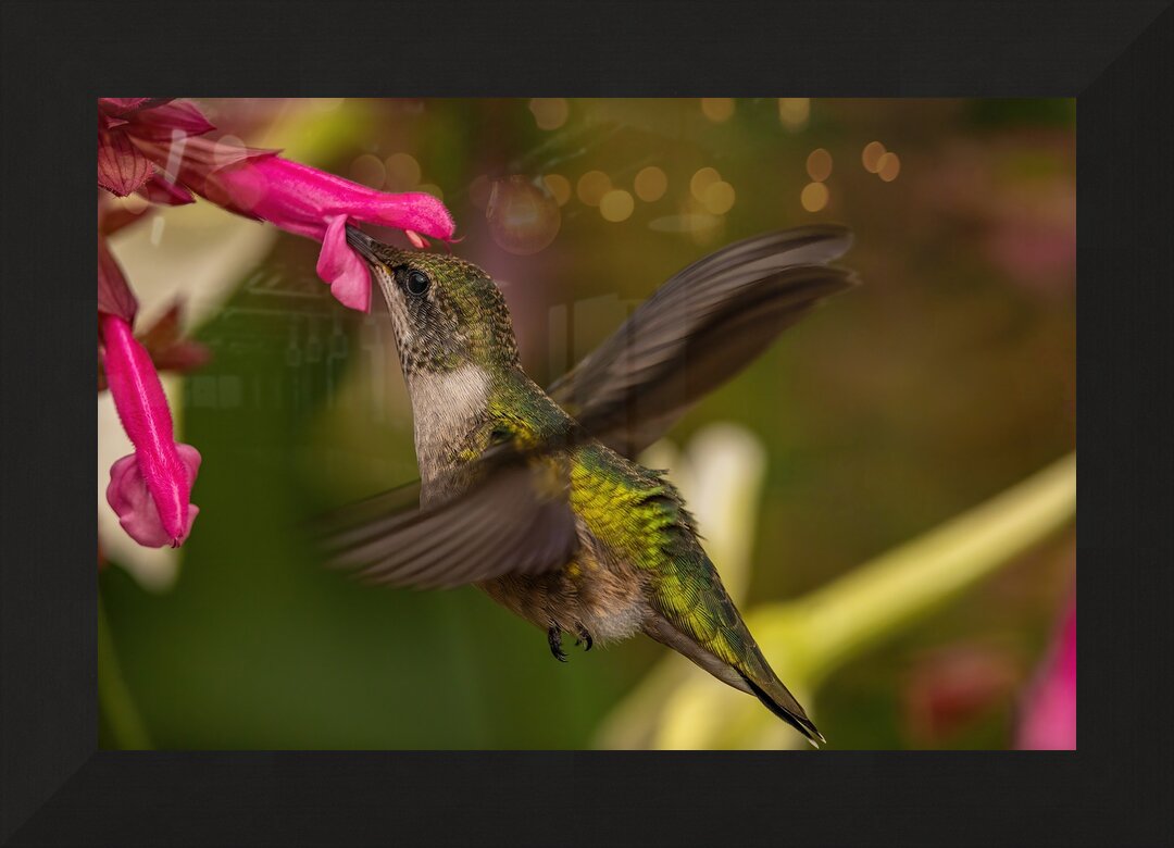 Impression de cadre personnalisé