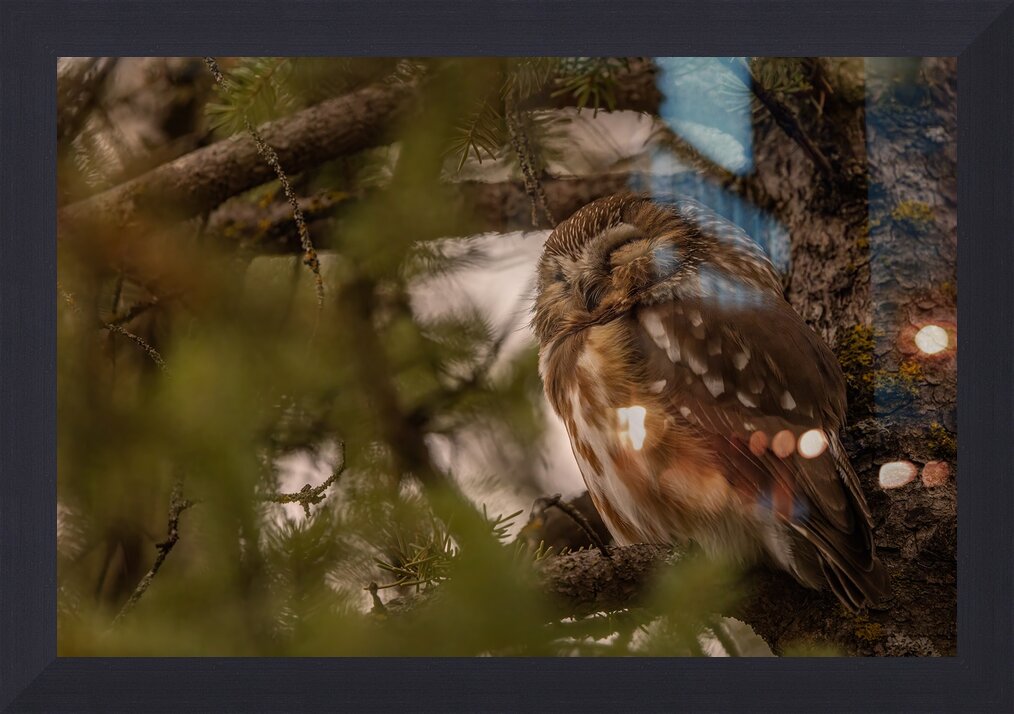 Impression de cadre personnalisé