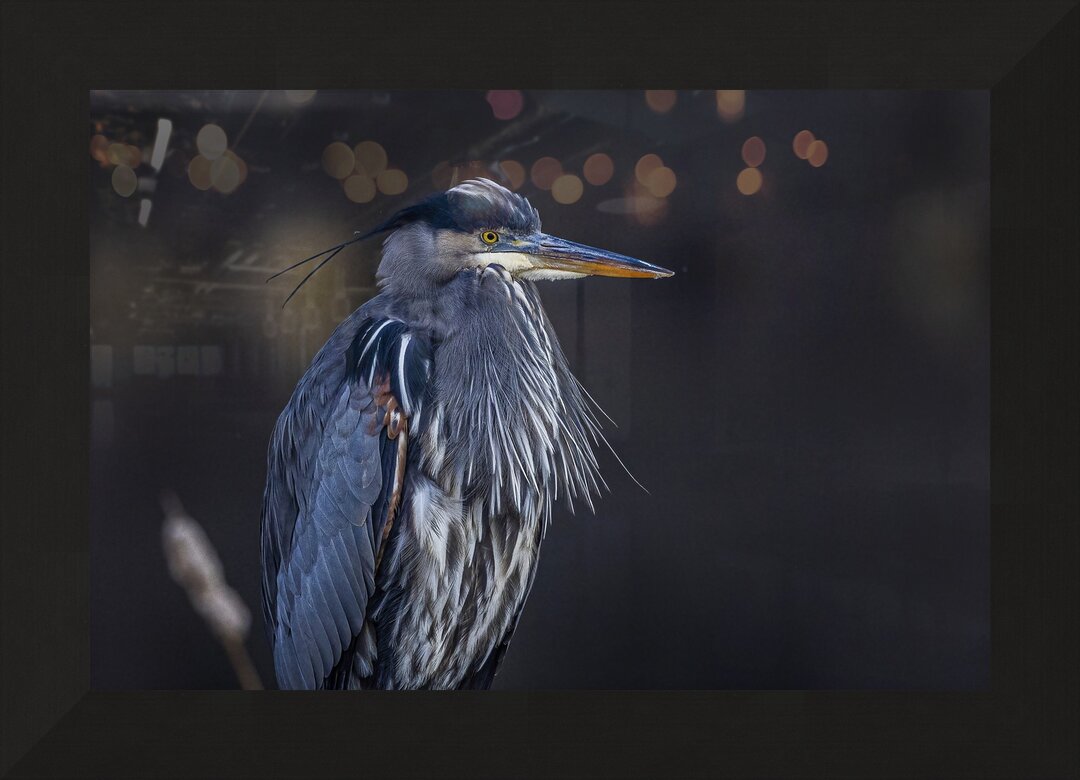 Impression de cadre personnalisé