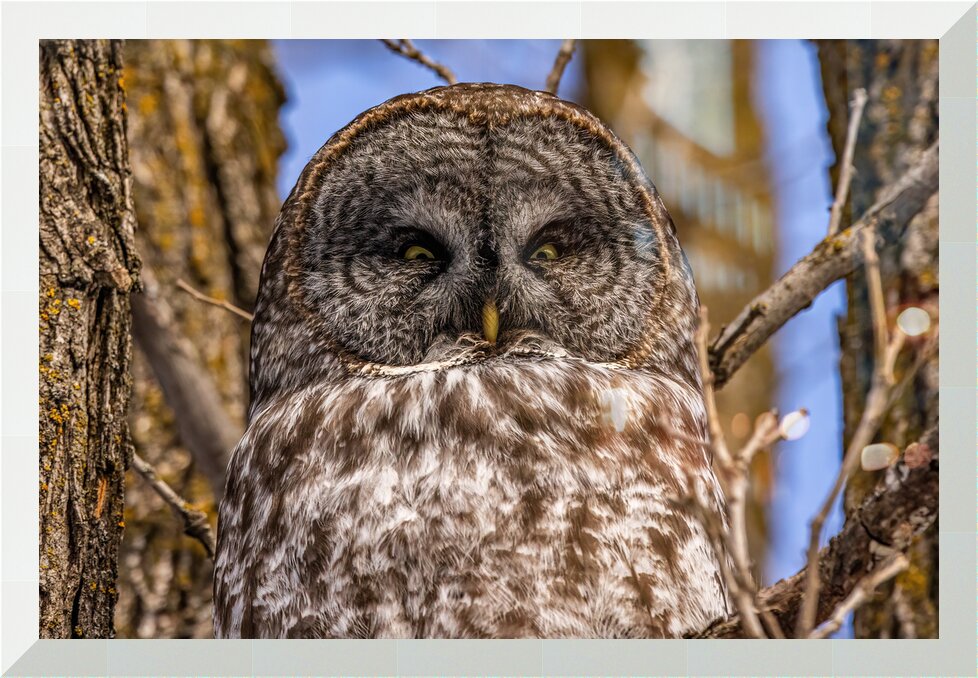Impression de cadre personnalisé