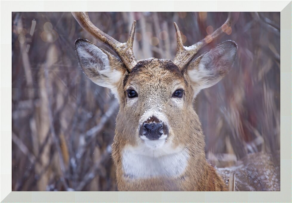 Impression de cadre personnalisé