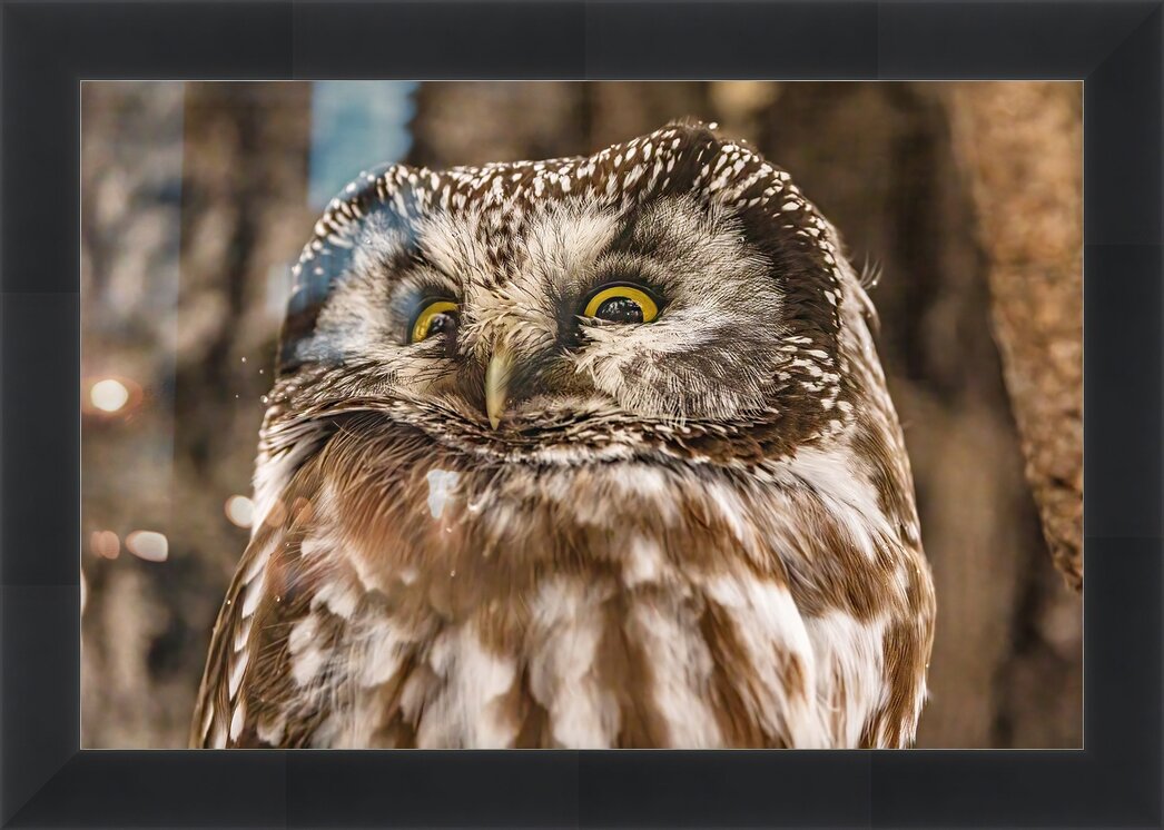 Impression de cadre personnalisé