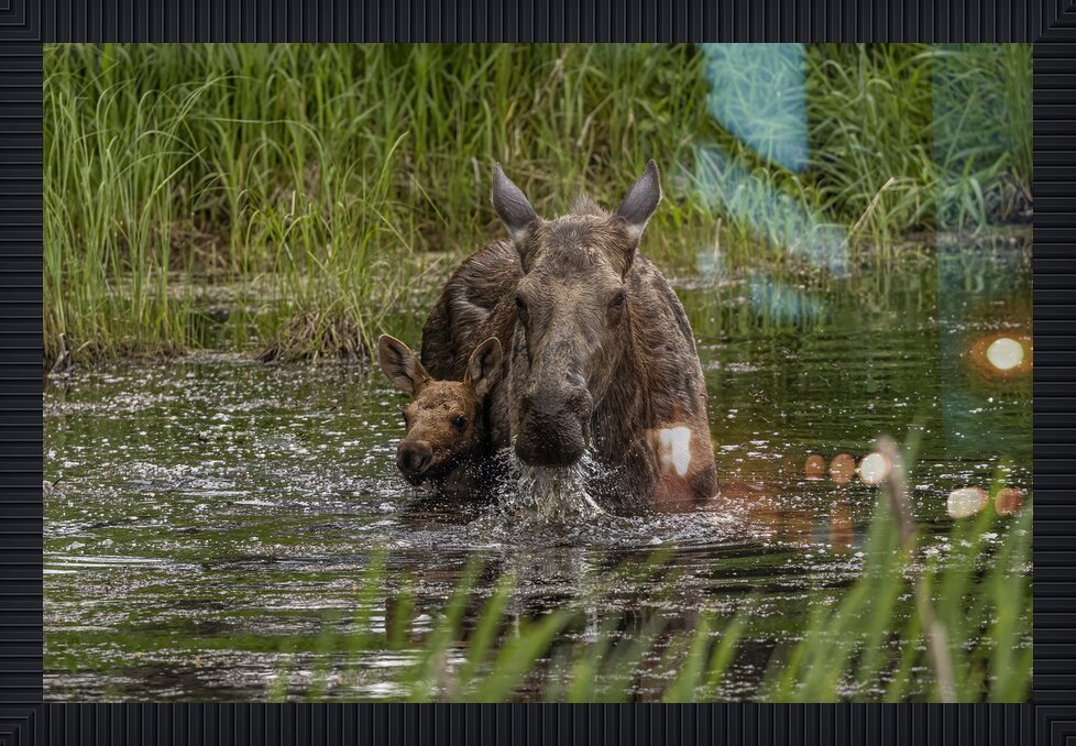 Impression de cadre personnalisé