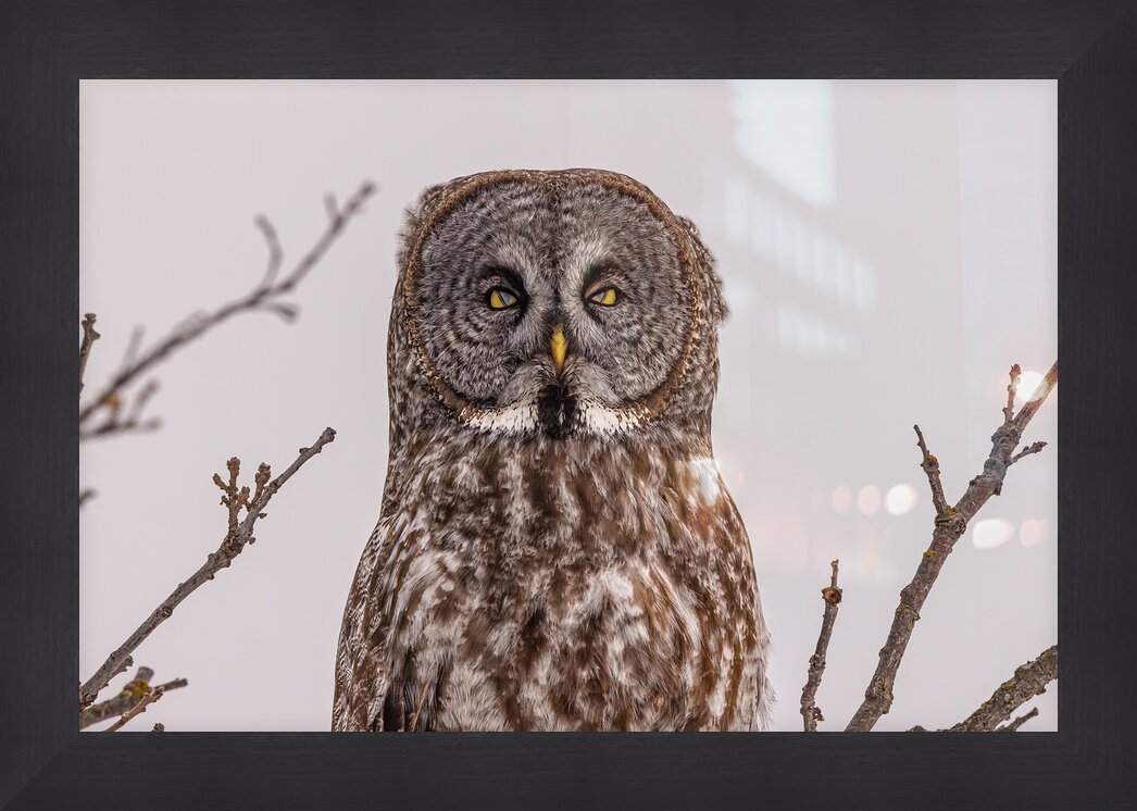 Impression de cadre personnalisé