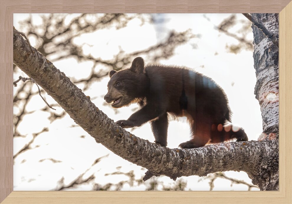Impression de cadre personnalisé