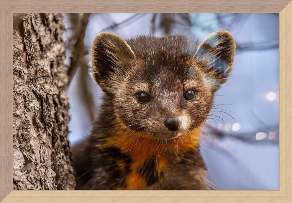 Impression de cadre personnalisé