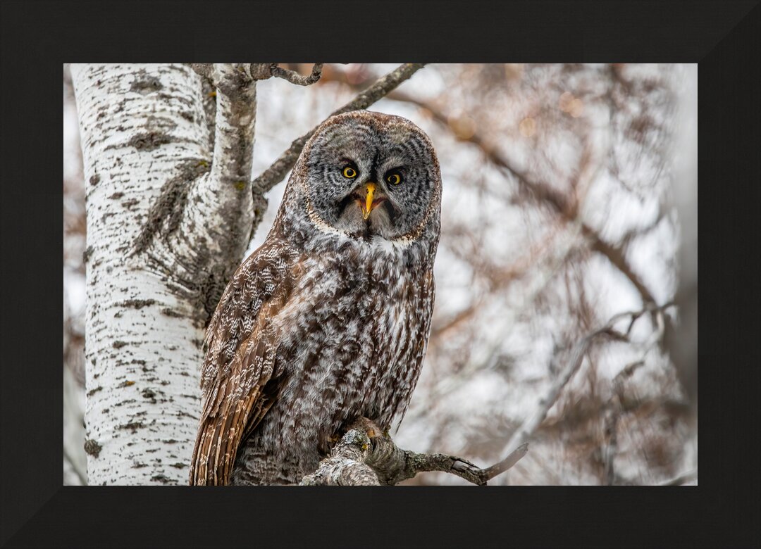 Impression de cadre personnalisé