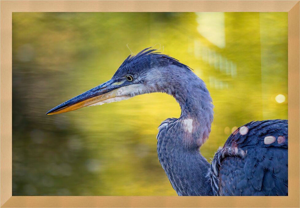 Impression de cadre personnalisé