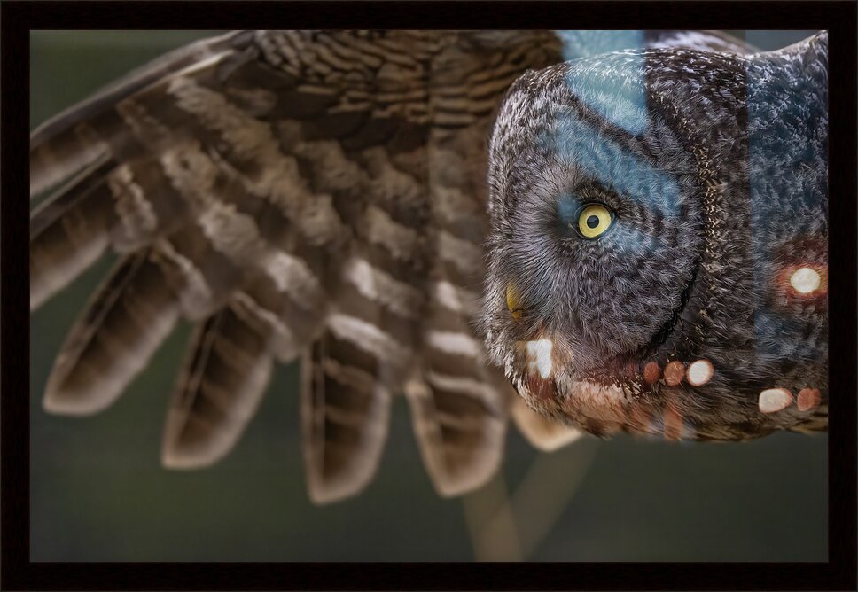 Impression de cadre personnalisé