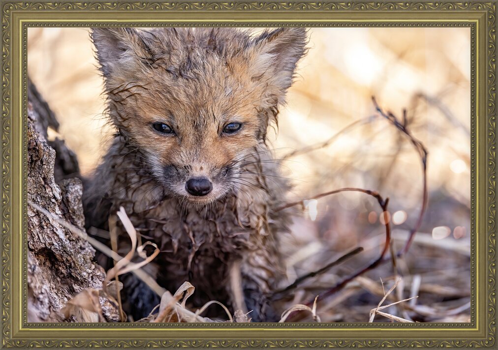 Impression de cadre personnalisé