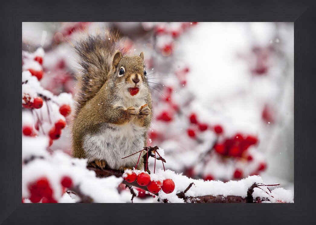 Impression de cadre personnalisé