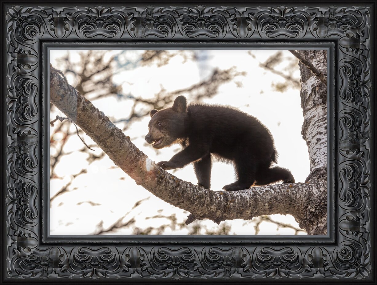 Impression de cadre personnalisé