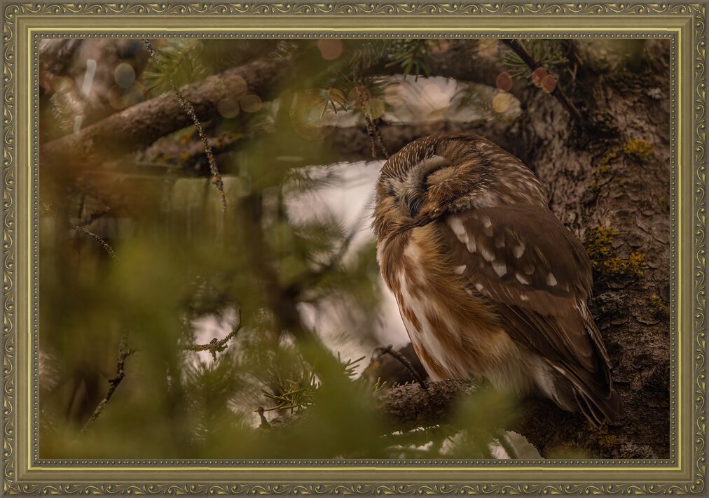 Impression de cadre personnalisé