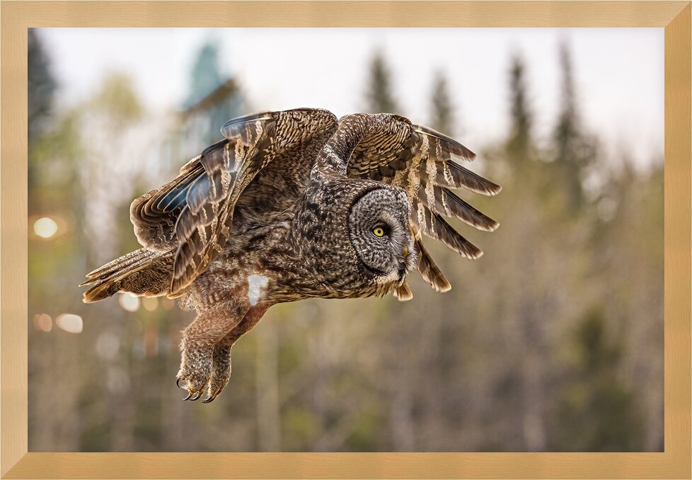 Impression de cadre personnalisé