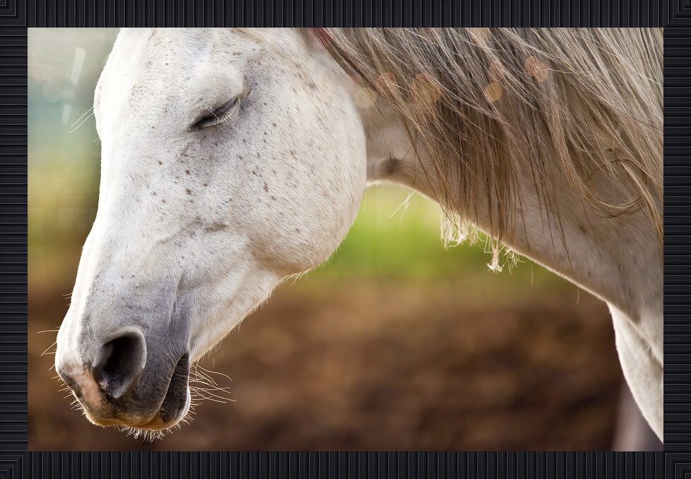 Impression de cadre personnalisé