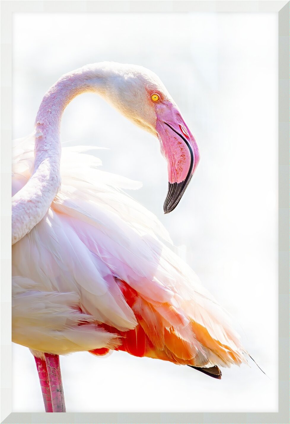 Impression de cadre personnalisé