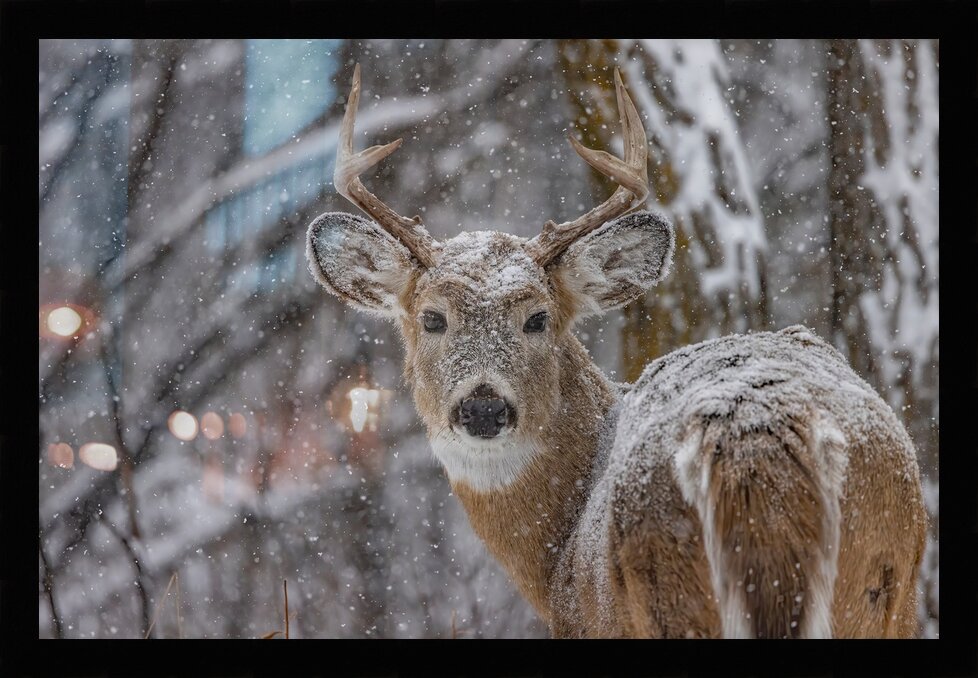 Impression de cadre personnalisé