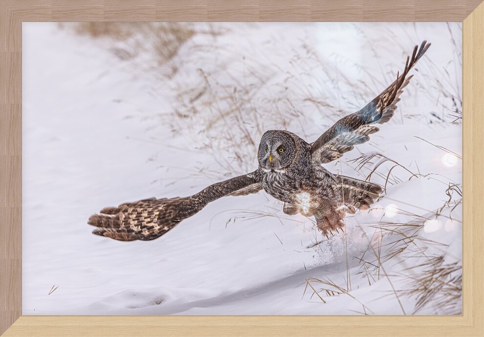 Impression de cadre personnalisé