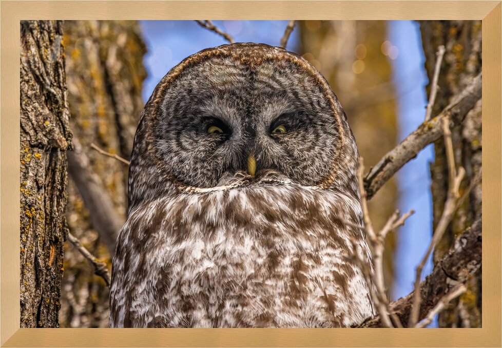 Impression de cadre personnalisé