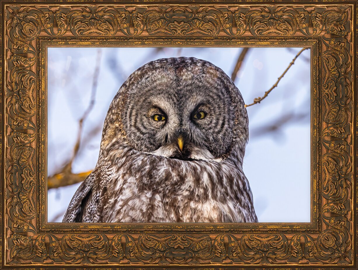 Impression de cadre personnalisé